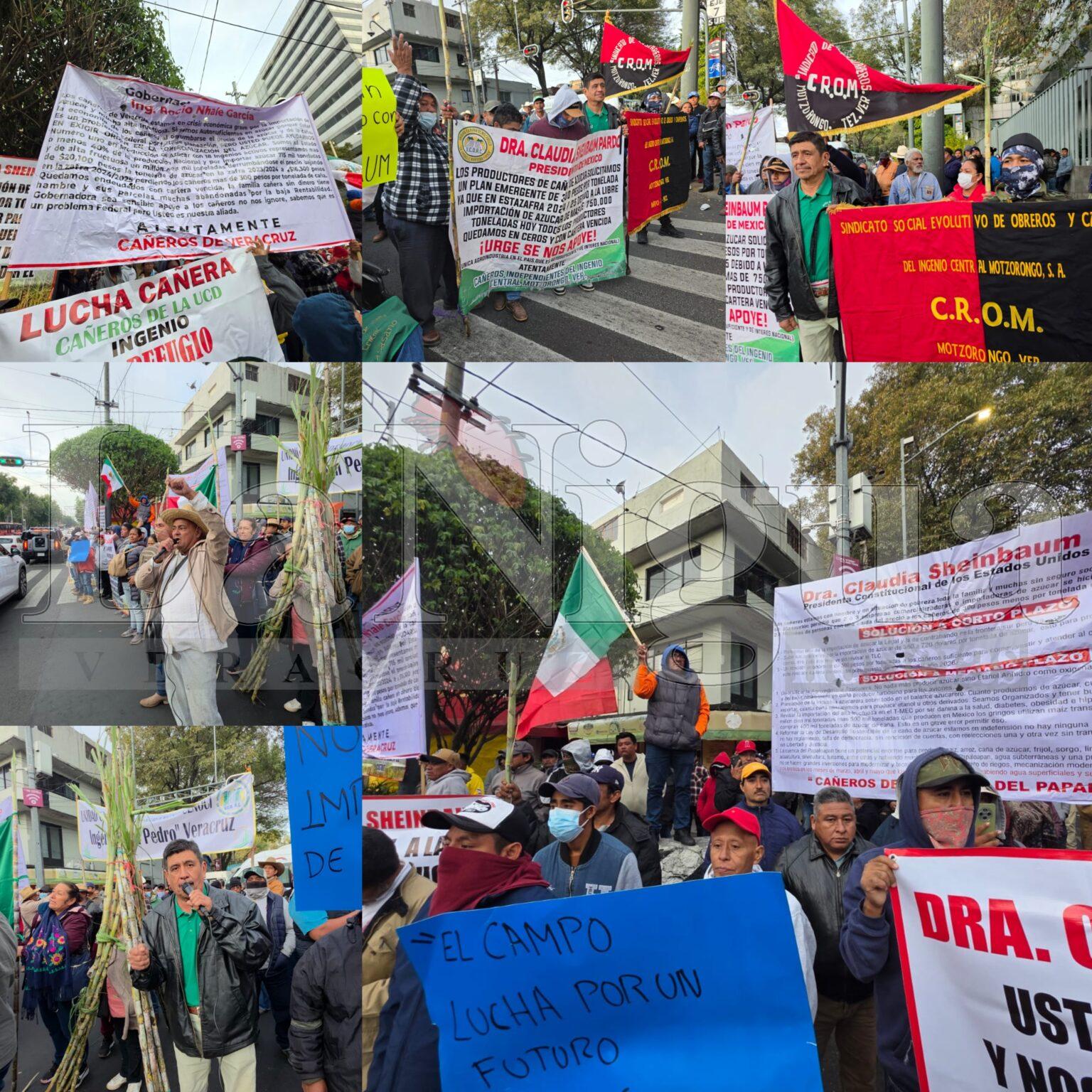 Cañeros continuarán negociaciones este miércoles