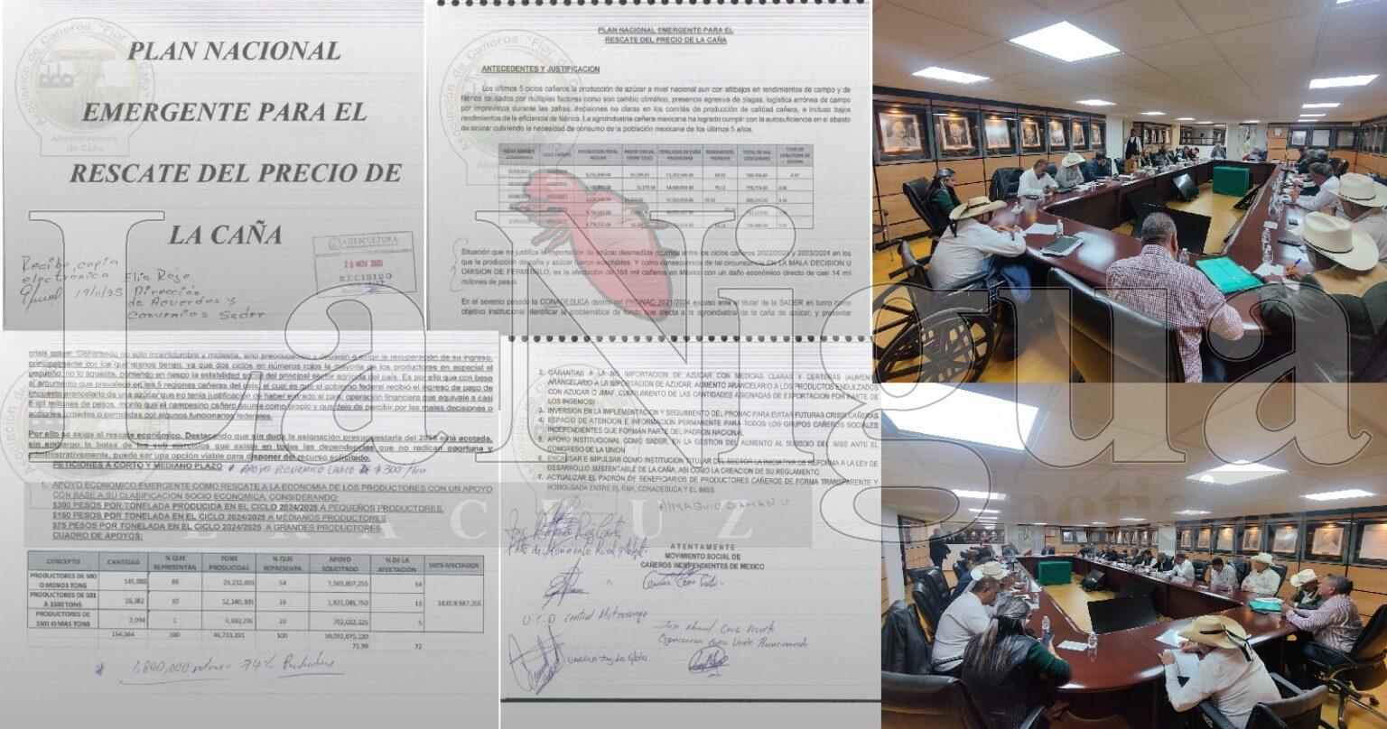 PRESENTAN CAÑEROS INDEPENDIENTES PLAN NACIONAL EMERGENTE PARA EL RESCATE CAÑERO, PARA TODAS LAS ORGANIZACIONES