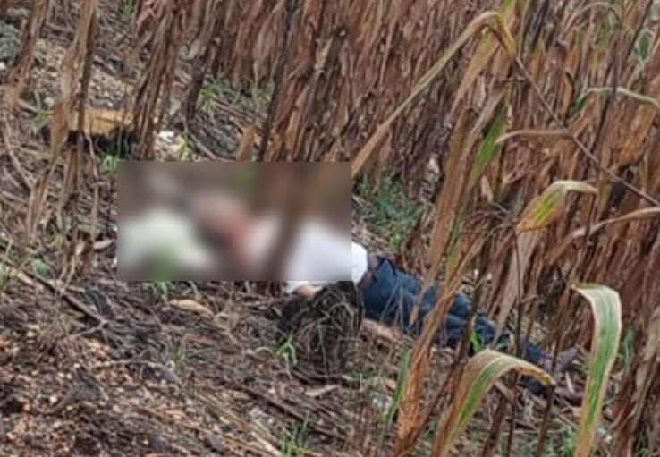 Localizan a un hombre DEGOLLADO en un maizal