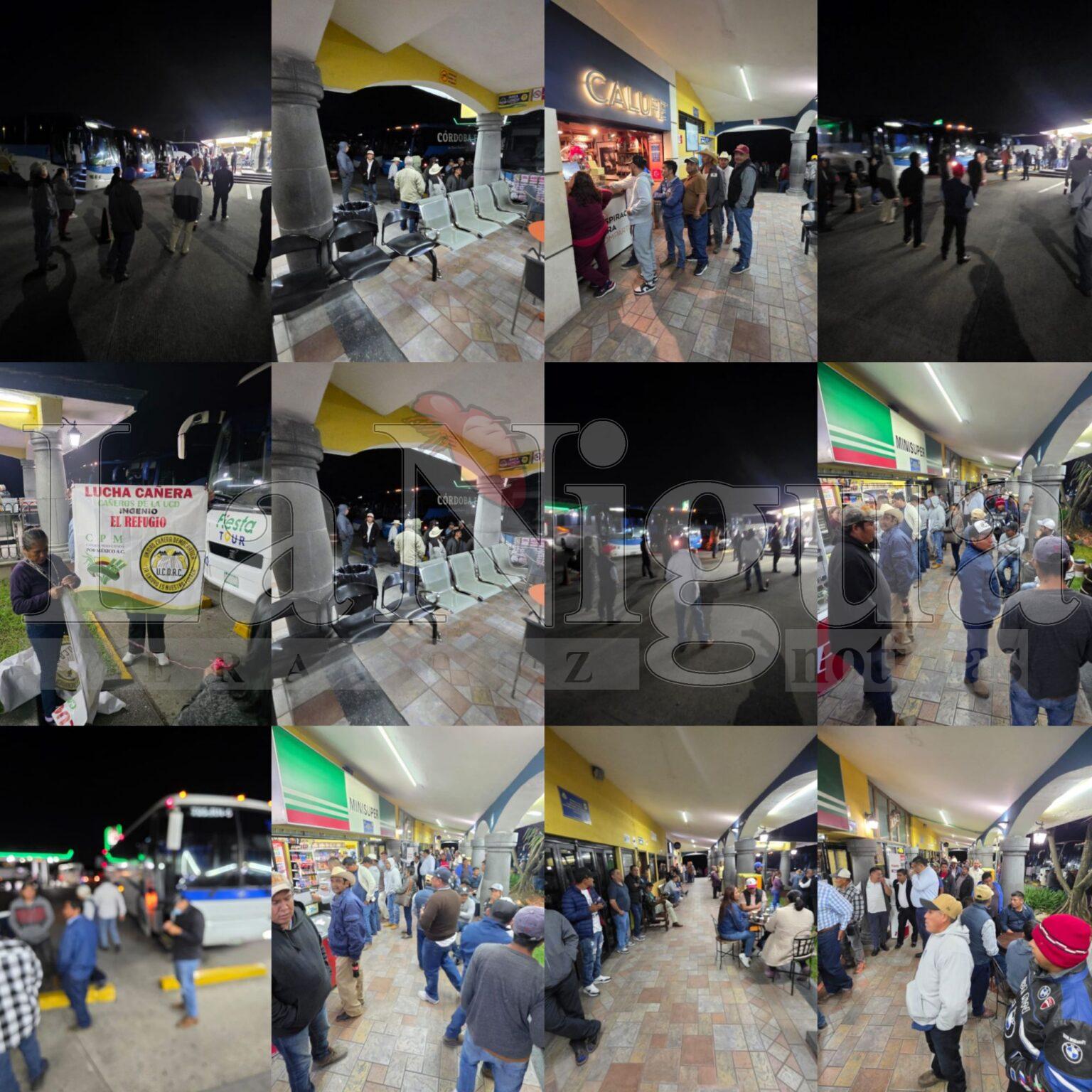 Cañeros veracruzanos viajan a CDMX; exigen apoyo emergente de 300 pesos por tonelada ante crisis del sector