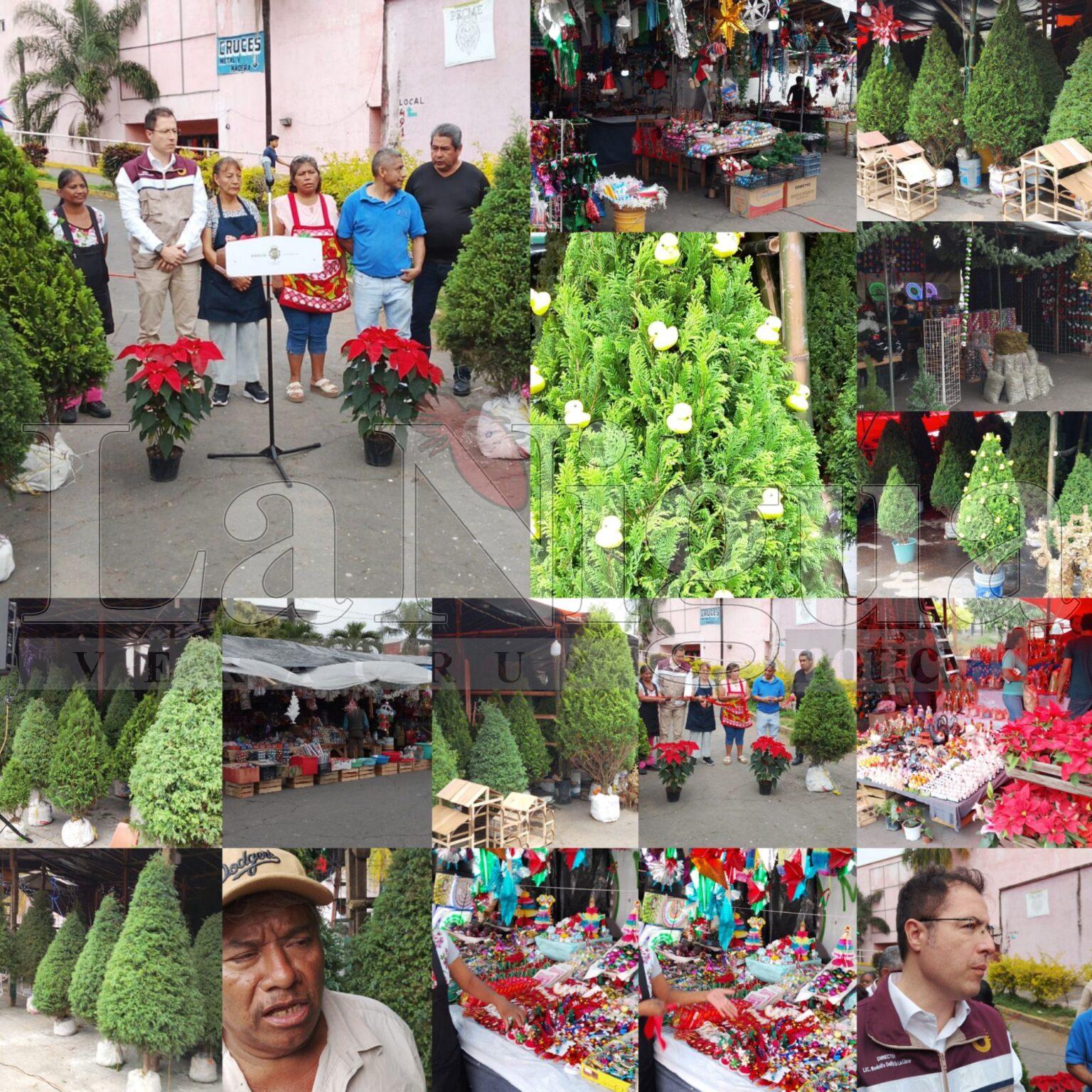 Inauguran en Córdoba la Feria del Pino y la Nochebuena 2025; productores locales ofrecen amplia variedad y precios accesibles