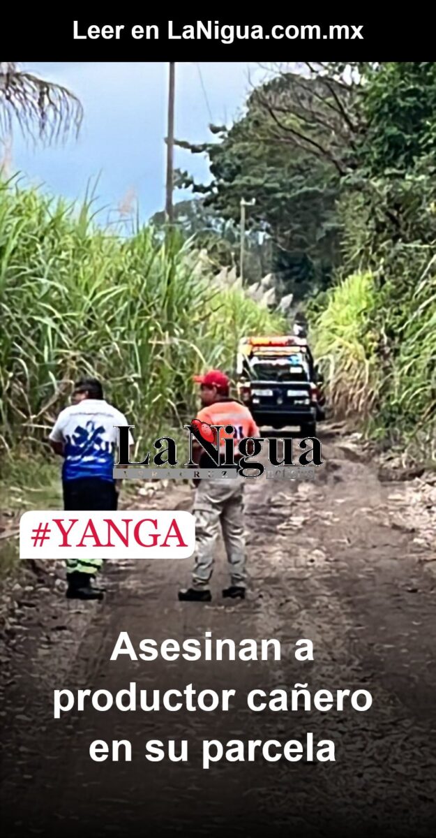 Asesinan a productor cañero en Yanga. *Su hermano, líder independiente, fue asesinado en julio 2017