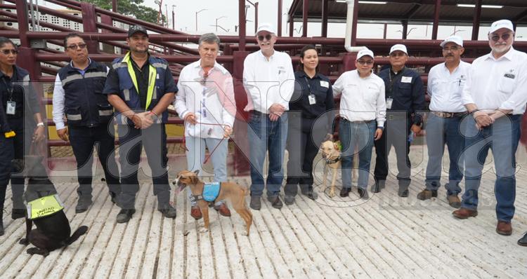 Cosamaloapan se moderniza y fortalece la defensa contra el gusano barrenador del ganado