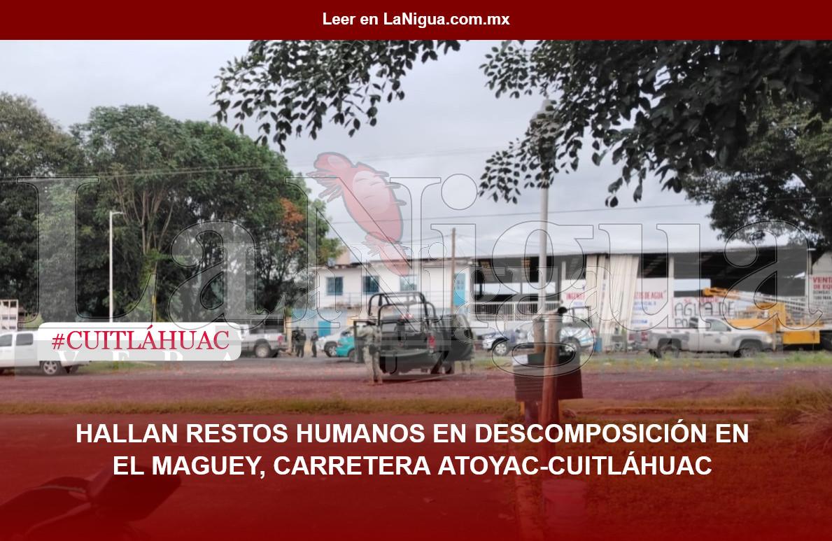 HALLAN RESTOS HUMANOS EN DESCOMPOSICIÓN EN EL MAGUEY, CARRETERA ATOYAC-CUITLÁHUAC
