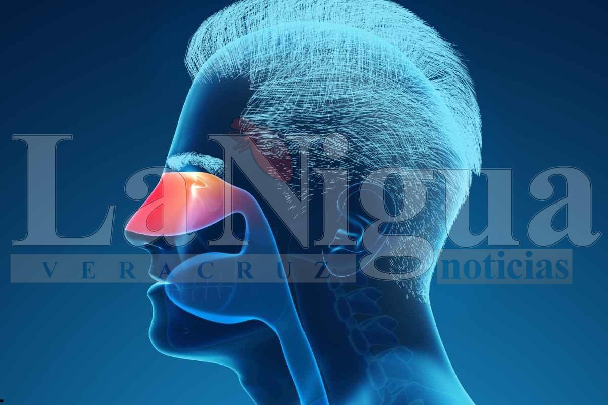 Informa IMSS Veracruz Sur sobre rinitis alérgicas