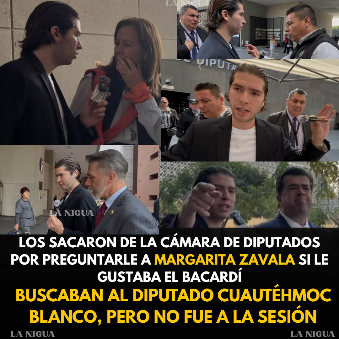 PROYECTO ESCOLAR: INICIATIVA INCOMODA A UN POLÍTICO