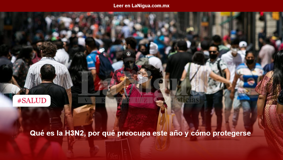 Qué es la H3N2, por qué preocupa este año y cómo protegerse