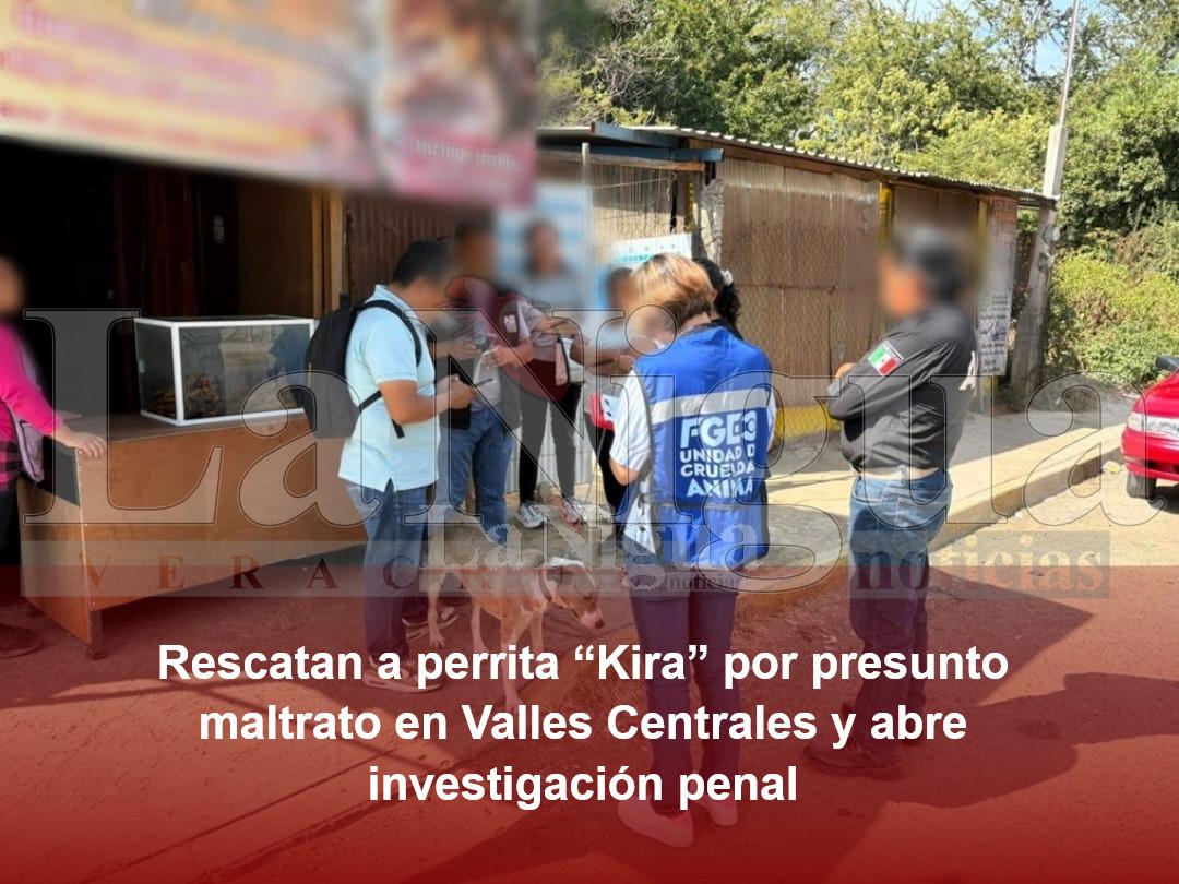 Rescatan a perrita “Kira” por presunto maltrato en Valles Centrales y abre investigación penal