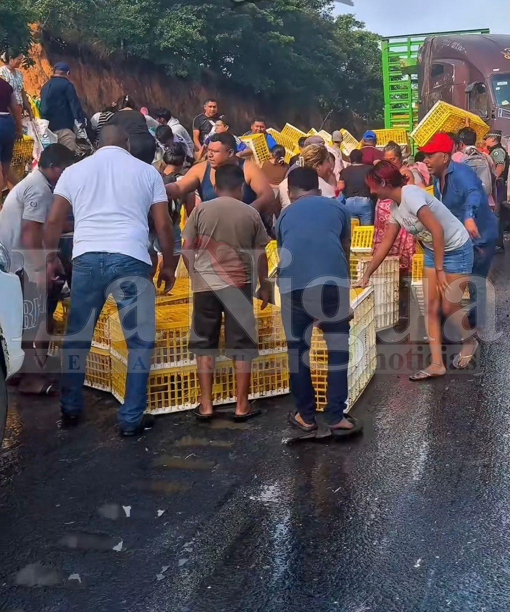 Se vuelca camión con pollos vivos antes de la caseta de Acayucan; rapiña se lleva toda la carga.