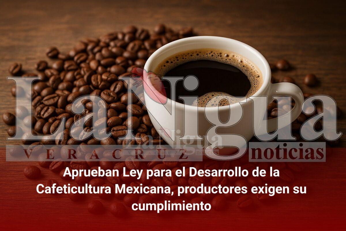 Aprueban Ley para el Desarrollo de la Cafeticultura Mexicana, productores exigen su cumplimiento