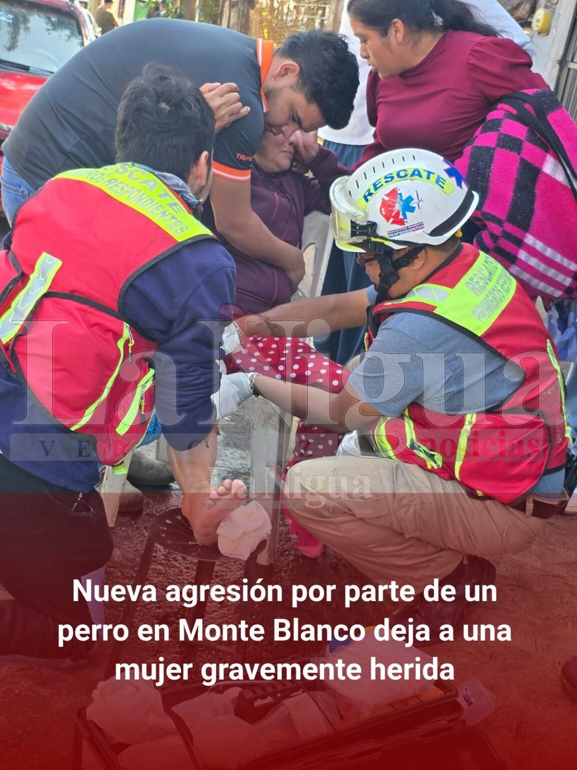 Nueva agresión por parte de un perro en Monte Blanco deja a una mujer gravemente herida