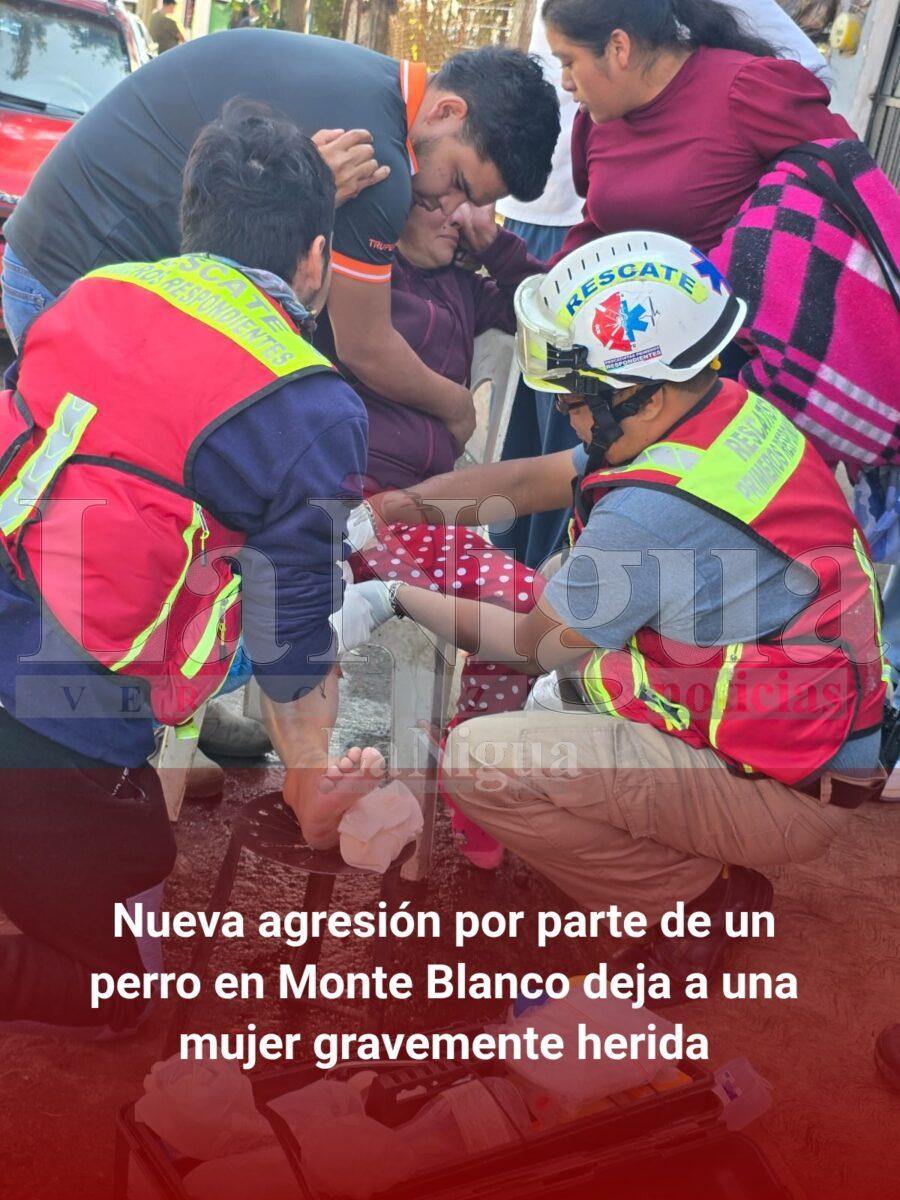 Nueva agresión por parte de un perro en Monte Blanco deja a una mujer gravemente herida