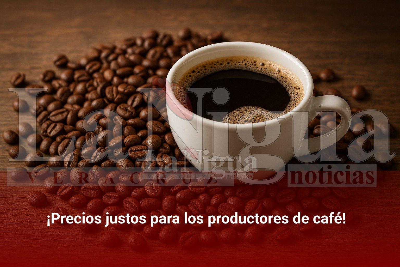 ¡Precios justos para los productores de café!