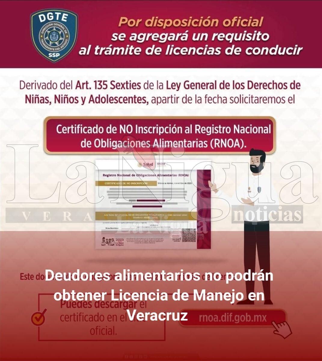 Deudores alimentarios no podrán obtener Licencia de Manejo en Veracruz