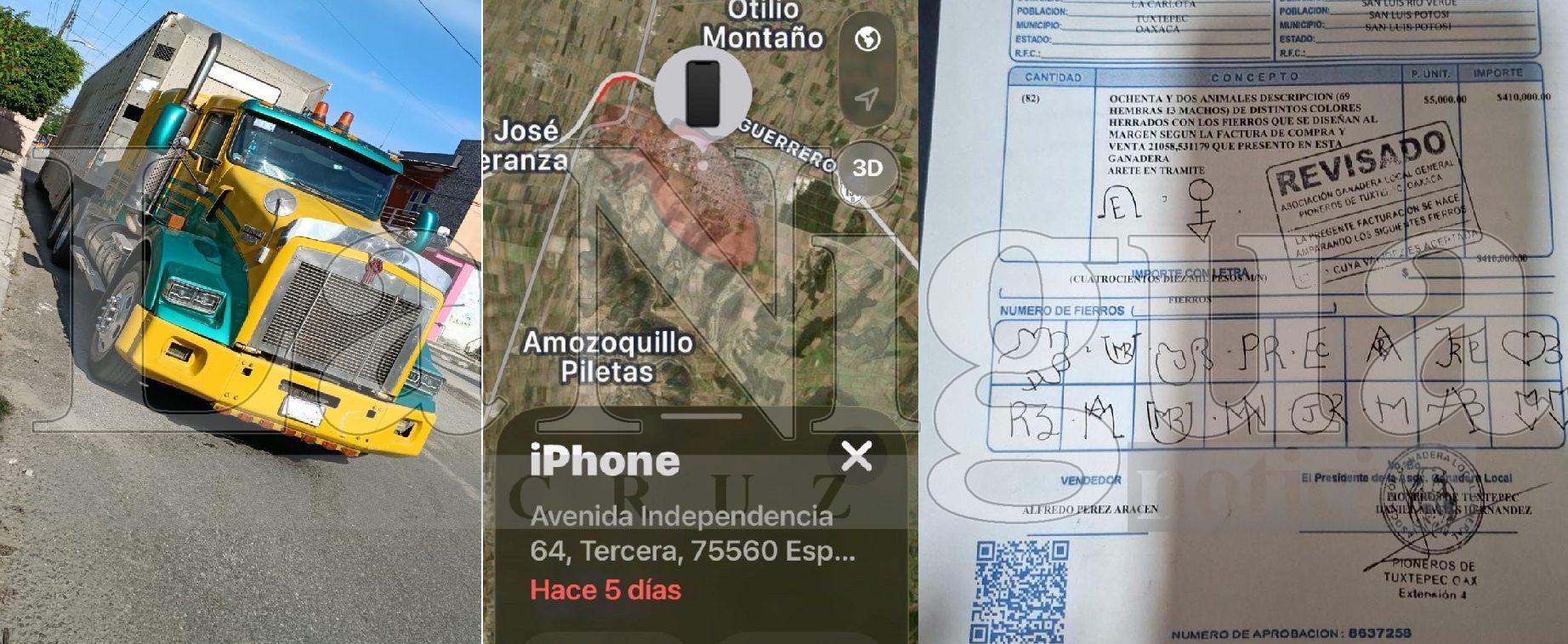 Roban más de dos millones de pesos en ganado en Cumbres de Maltrata. Los llevaban a SLP