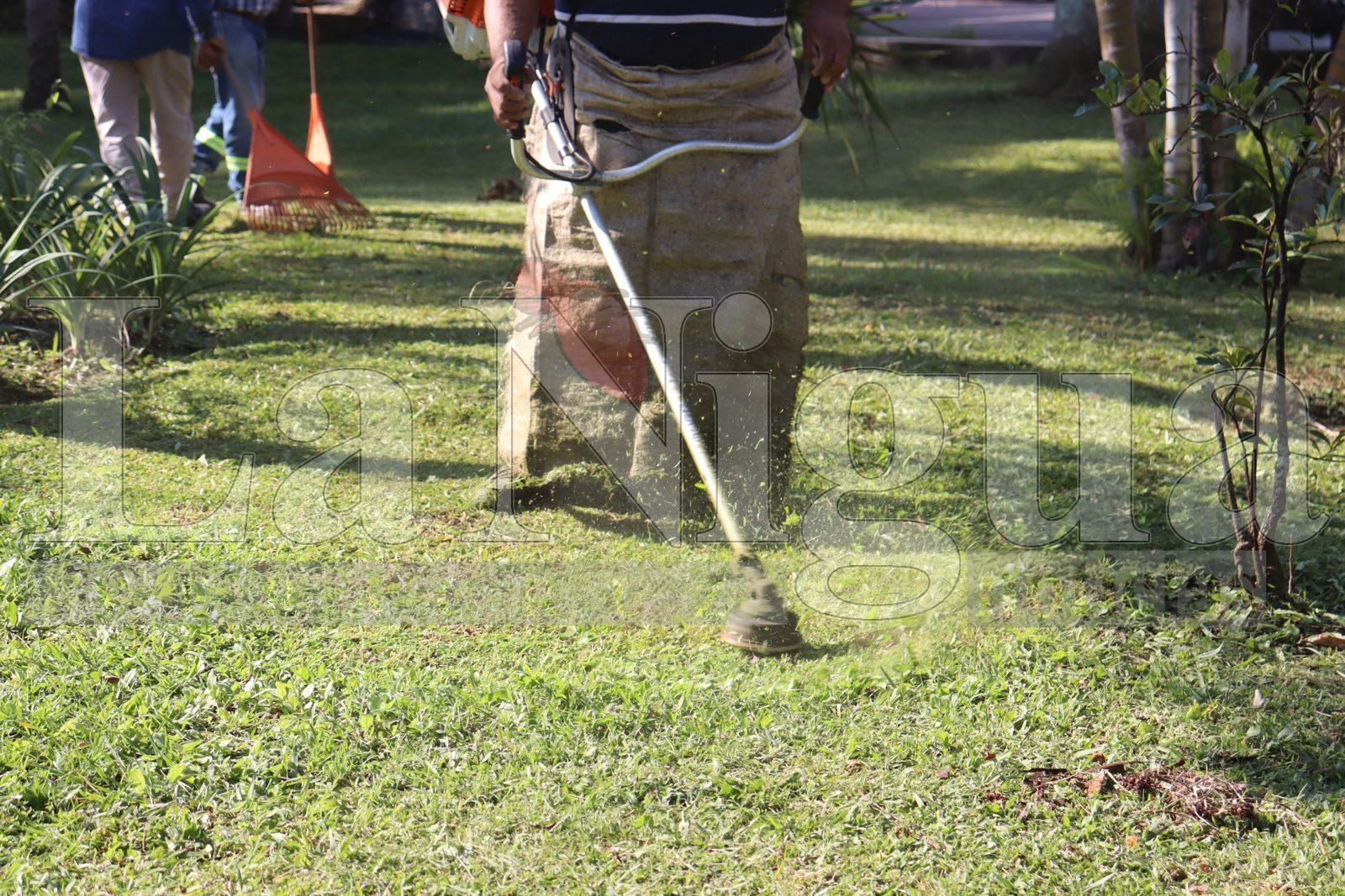 Continúan los trabajos de limpieza y embellecimiento de los parques de Fortín