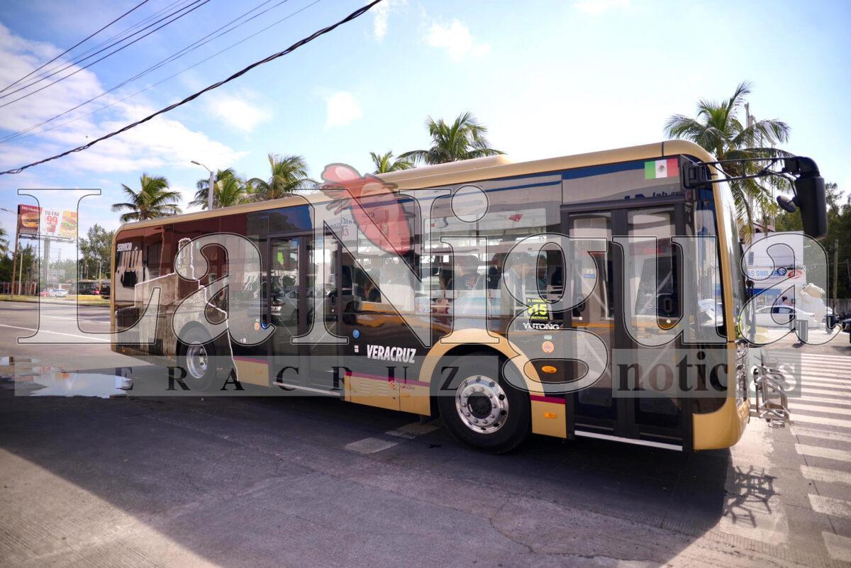 Servicio Ulúa gratuito y más de 2 mil elementos de seguridad en el Carnaval: Gobernadora