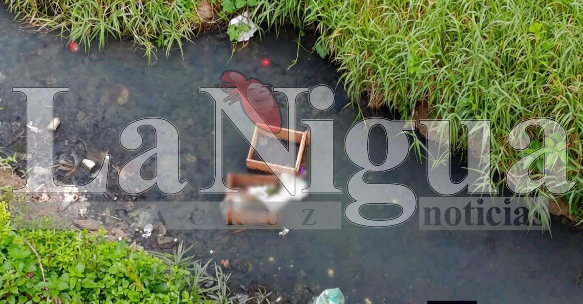 Feto abandonado abajo del puente de Coatzintla