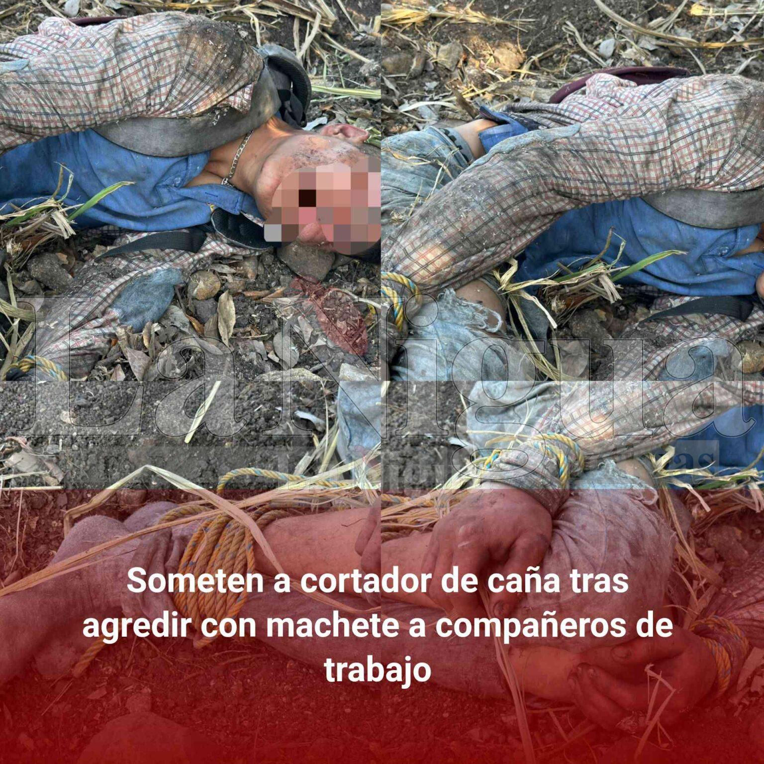 Someten a cortador de caña tras agredir con machete a compañeros de trabajo