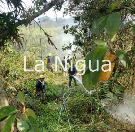 Alerta UMPC por aumento de incendios de pastizales y quema de basura irresponsable 1 2 incendios1918407277694081291
