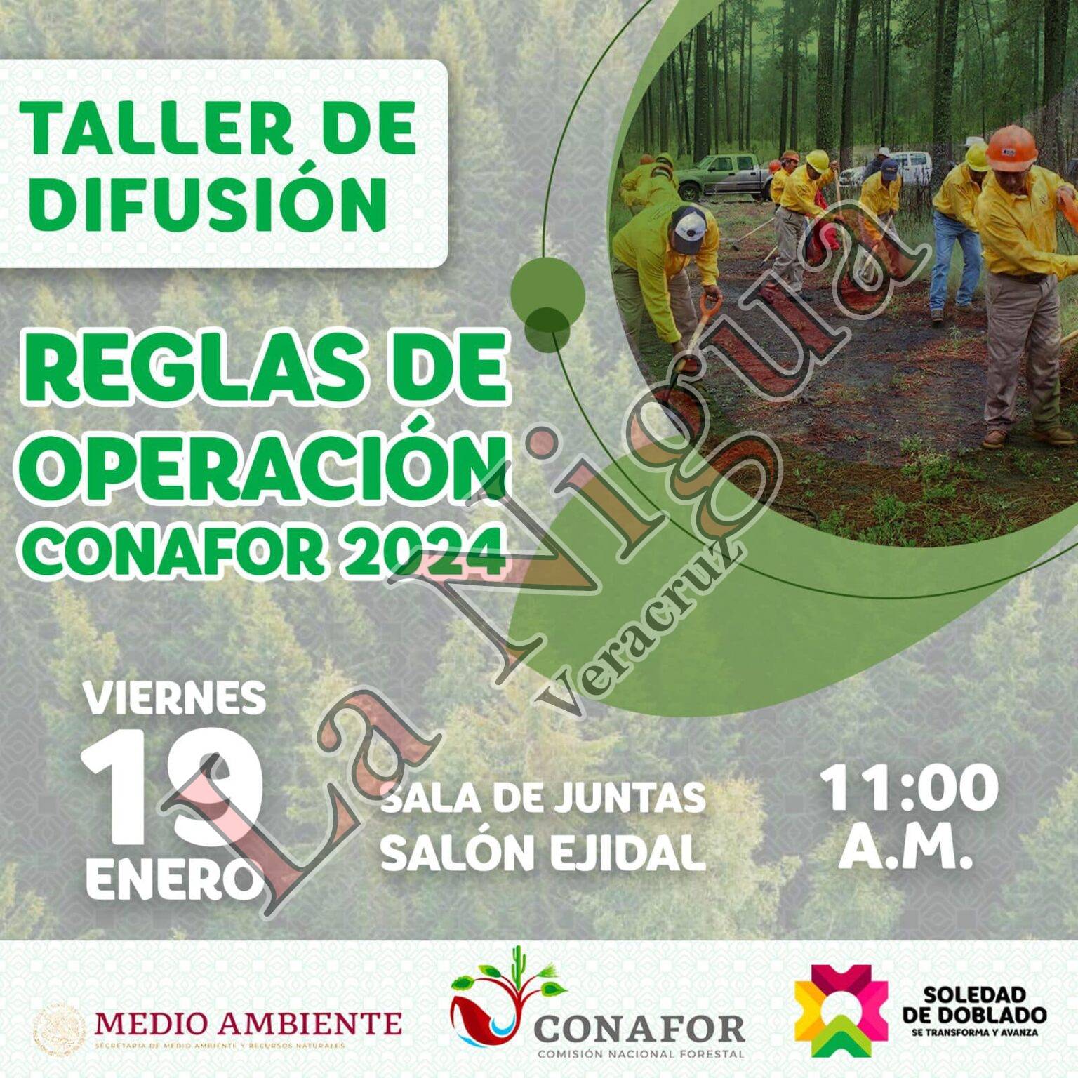 Invitación a taller de difusión sobre “Reglas de Operación CONAFOR 2024”