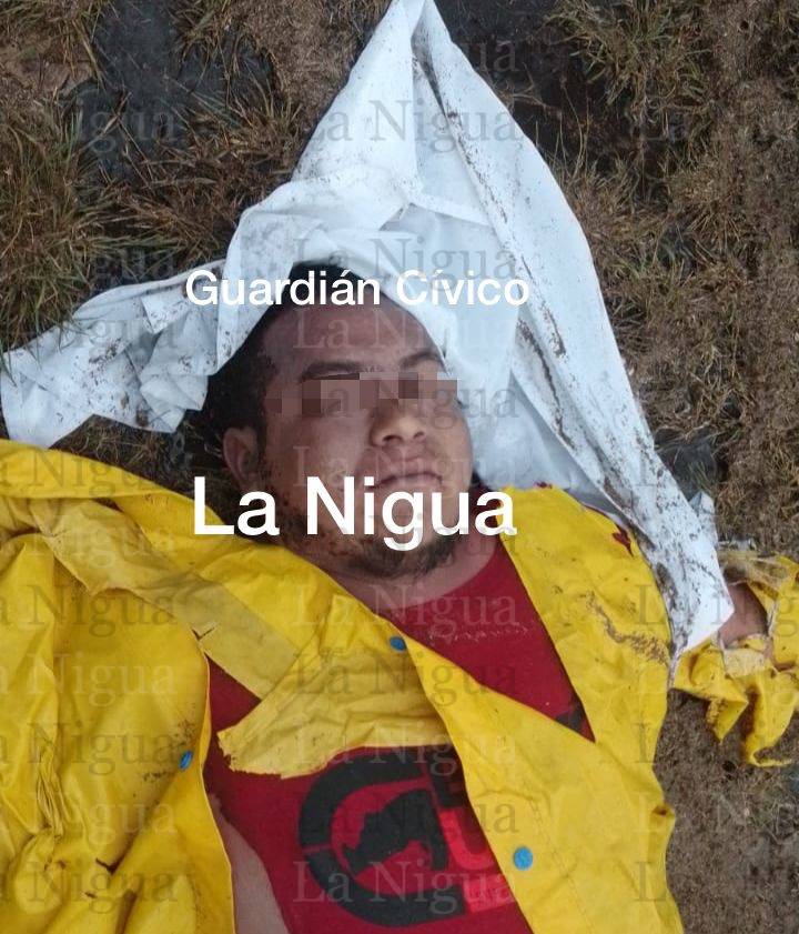442bae2a 5f04 4389 b90d 4f844baceacd