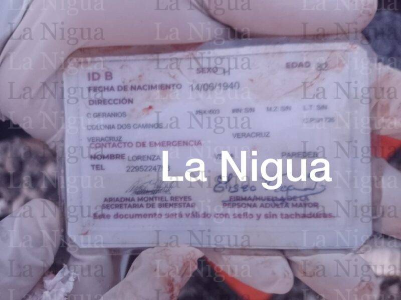 Hombre de la tercera edad muere atropellado por el tren 1 89730528 920c 4063 920b 8cce9c52c220