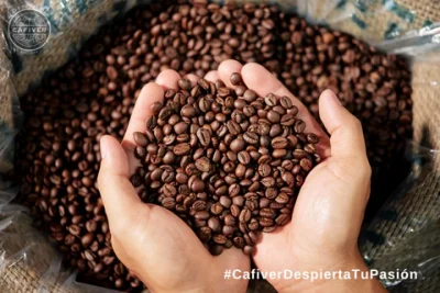 Cafiver La Taza de excelencia 4