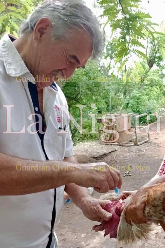 Concluye vacunación de aves domésticas contra Newcastle en Soledad.