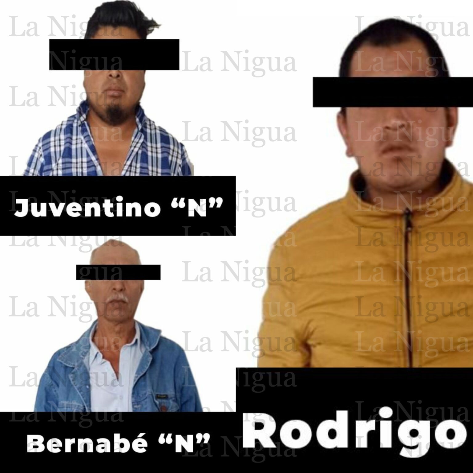 Captura Fuerza Civil a tres sujetos por presunto abigeato en Huayacocotla