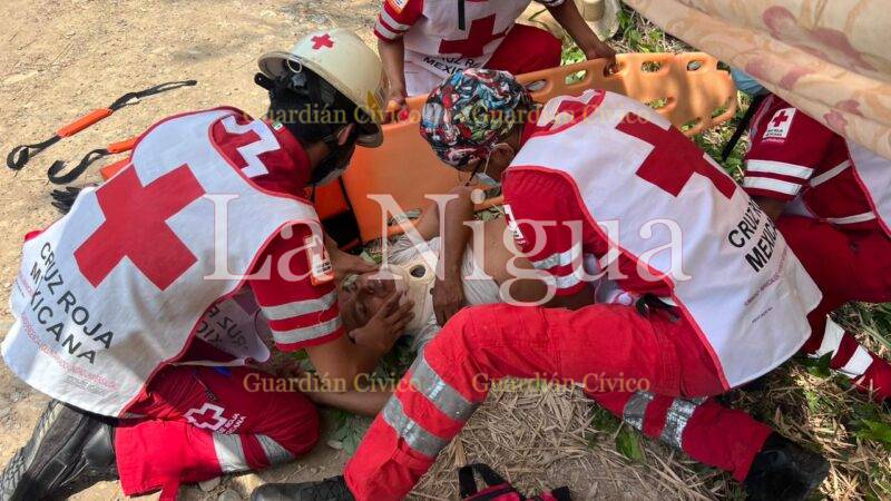 Jarocho cae de palmera: tuvo que ser atendido por Cruz Roja