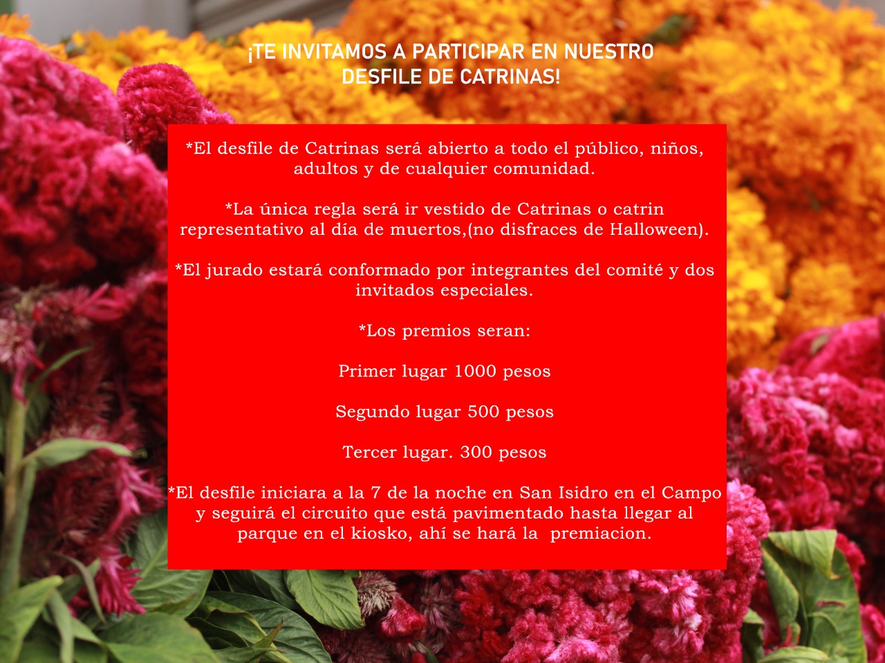 Habitantes de Paraje Nuevo realizarán actividades para fomentar la tradición de Día de Muertos 3 IMG 20211030 WA0056