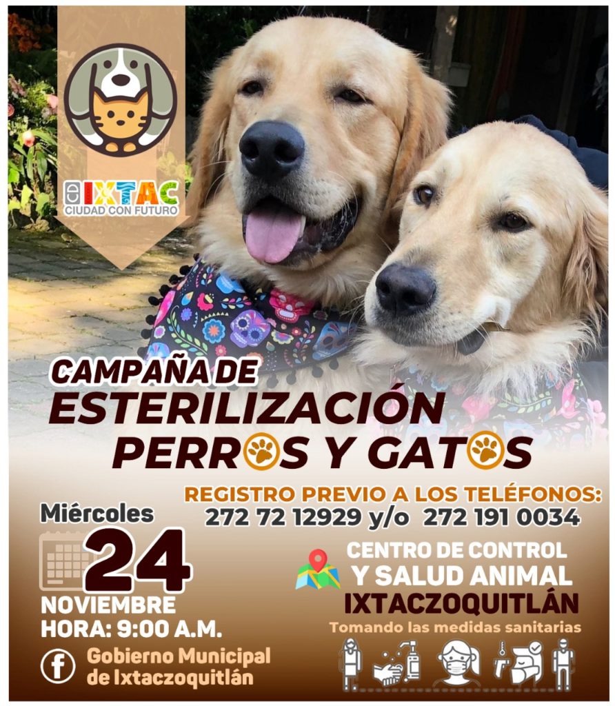 Alistan campaña de esterilización canina y felina en Ixtaczoquitlán