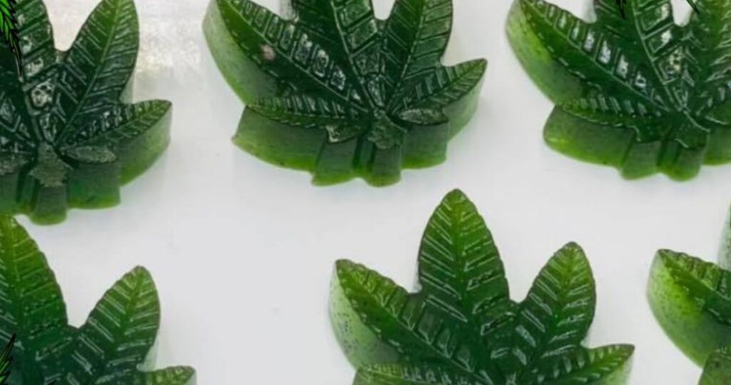 VIDEO: Joven da a su familia gomitas de mariguana en Navidad y se vuelve viral