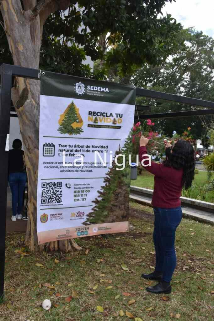 Arranca campaña Recicla tu Navidad