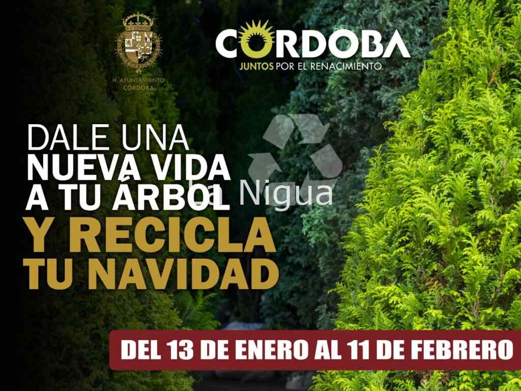 Arranca este jueves la campaña “Recicla tu Navidad”