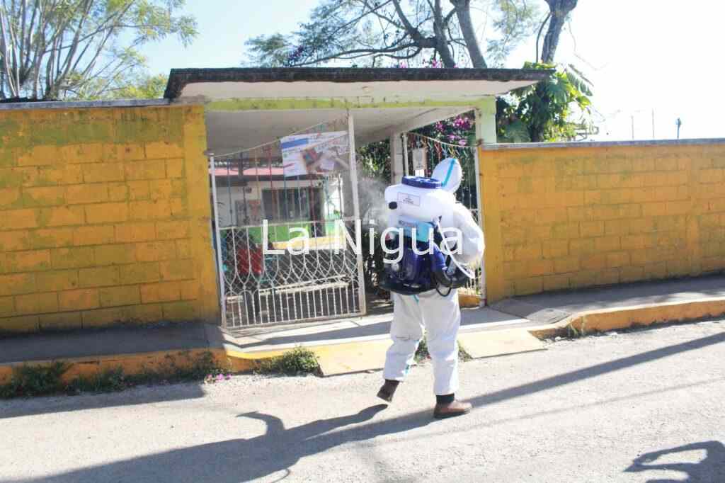 Desinfecta Vectores escuelas en colonias