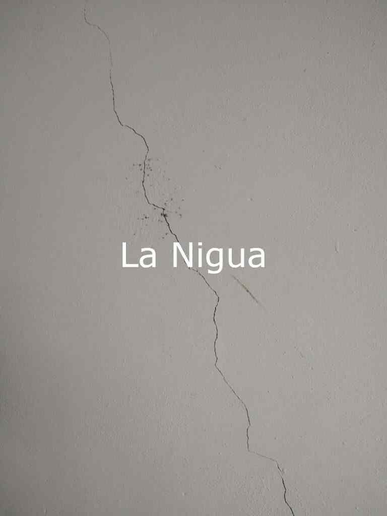 SISMO OCASIONA DAÑOS EN SALONES DEL COBAEV 29, YANGA.