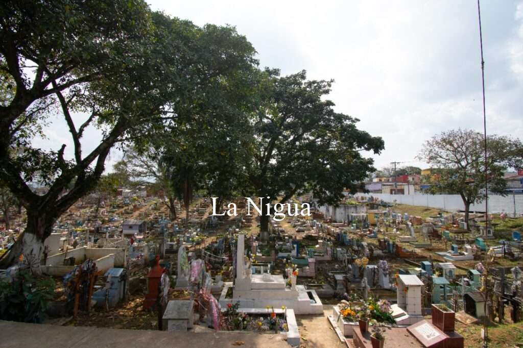 Va Ayuntamiento por Certificación de Espacios Libres del Dengue en panteones de Córdoba
