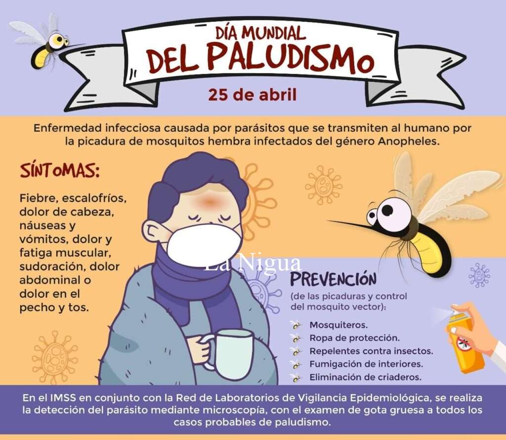 Pide IMSS Veracruz Sur estar alertas ante síntomas de Paludismo
