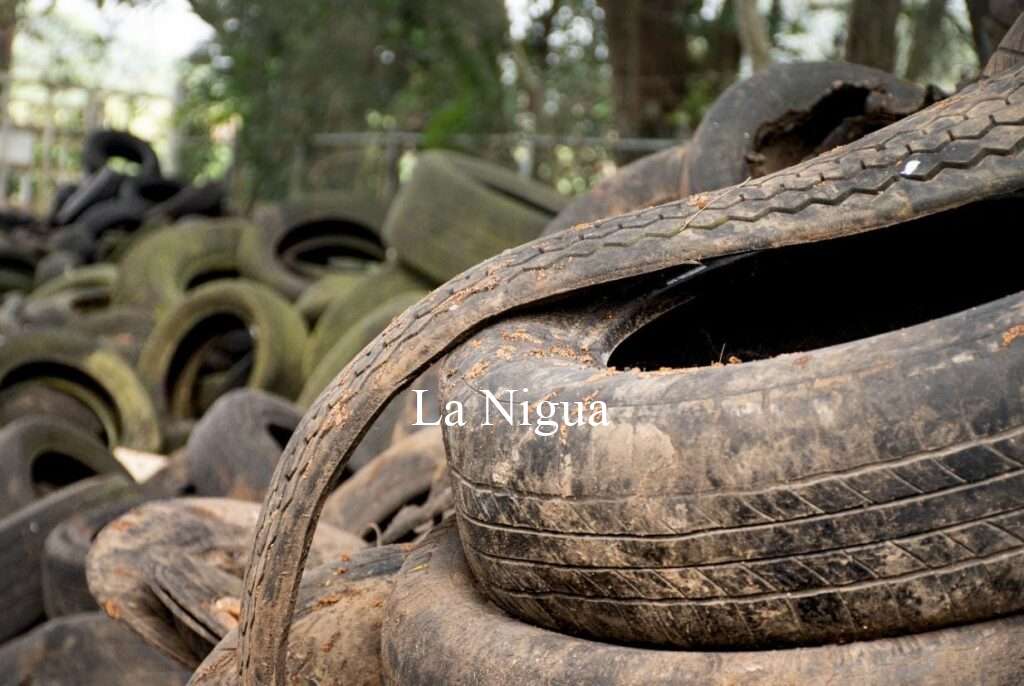 Iniciarán descacharrización masiva en 8 colonias de Córdoba para prevenir dengue