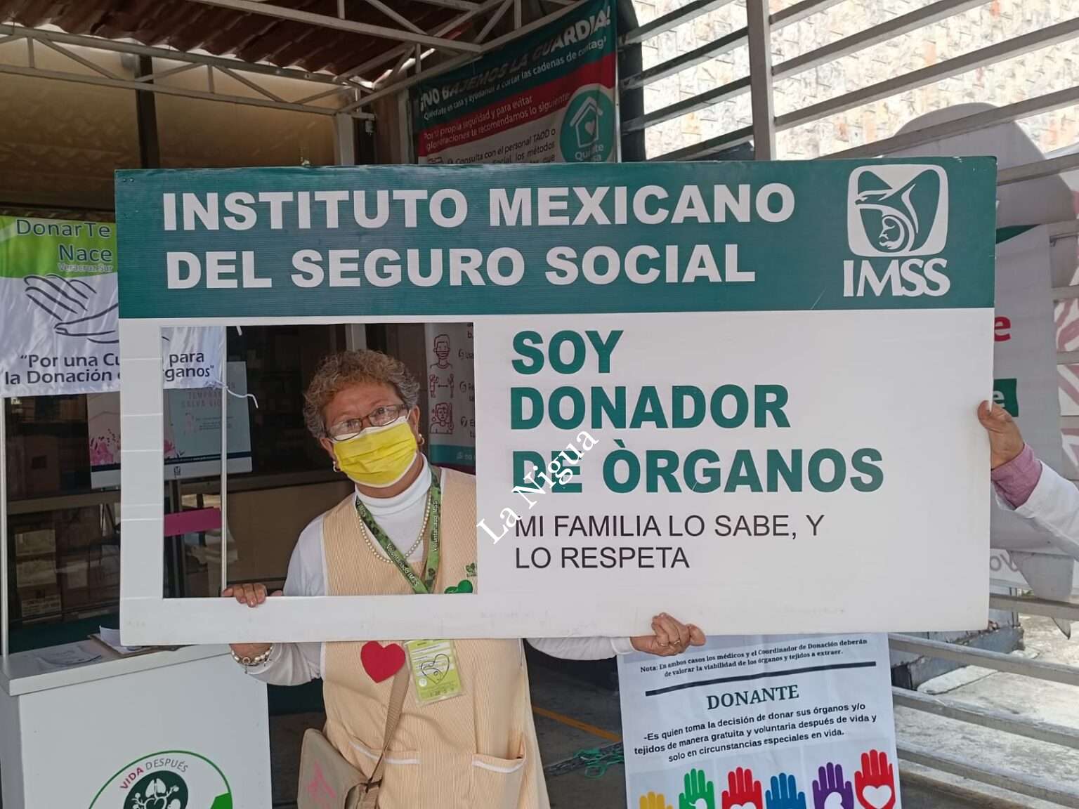 Promueve IMSS Veracruz Sur Donación y Trasplante de Órganos