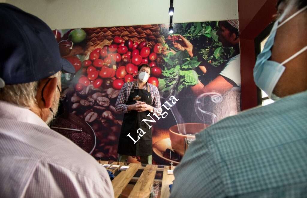 Capacitarán a caficultores de Córdoba para mejorar su cadena de producción