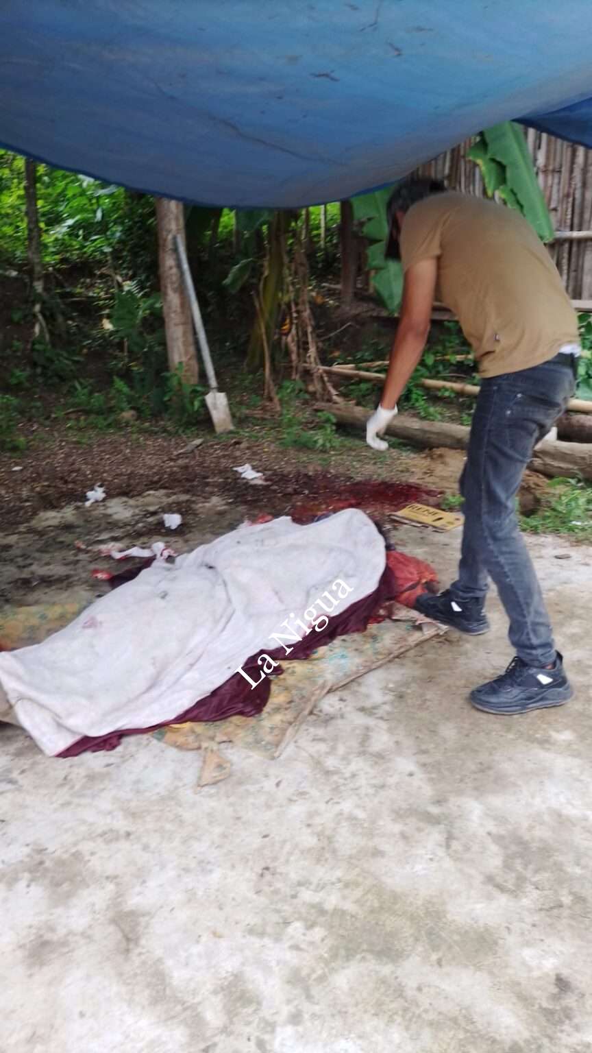 Muere jornalero al caerle, un tronco de árbol en Papantla