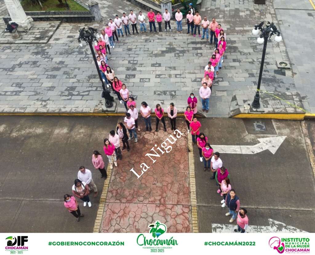 Conmemora ayuntamiento de Chocamán Día Mundial de la Lucha contra el Cáncer de Mama