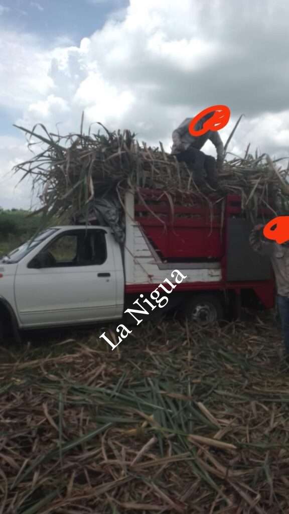 Roban camioneta de productor cañero en Paso del Macho