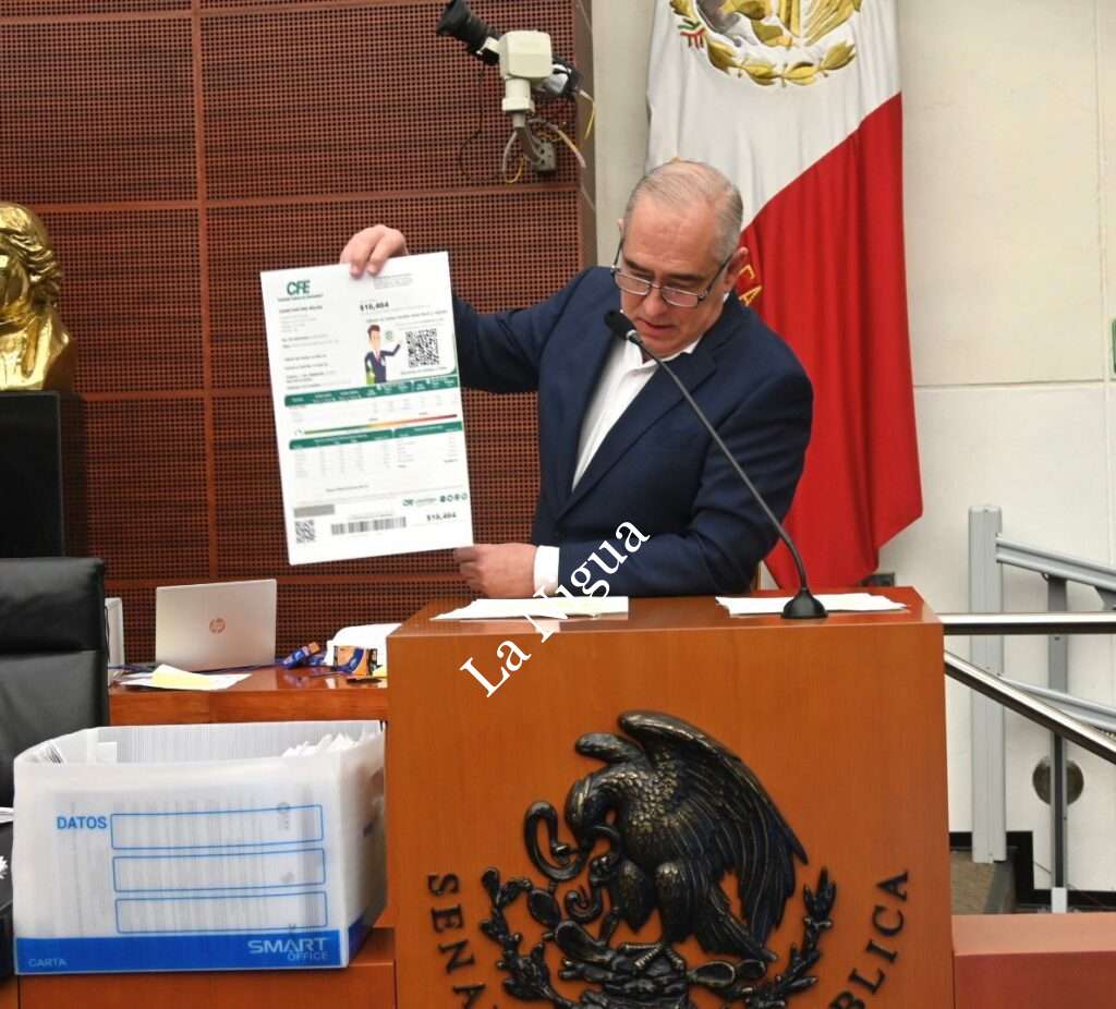 Rementería pide a Secretaria de Energía que baje las tarifas luz