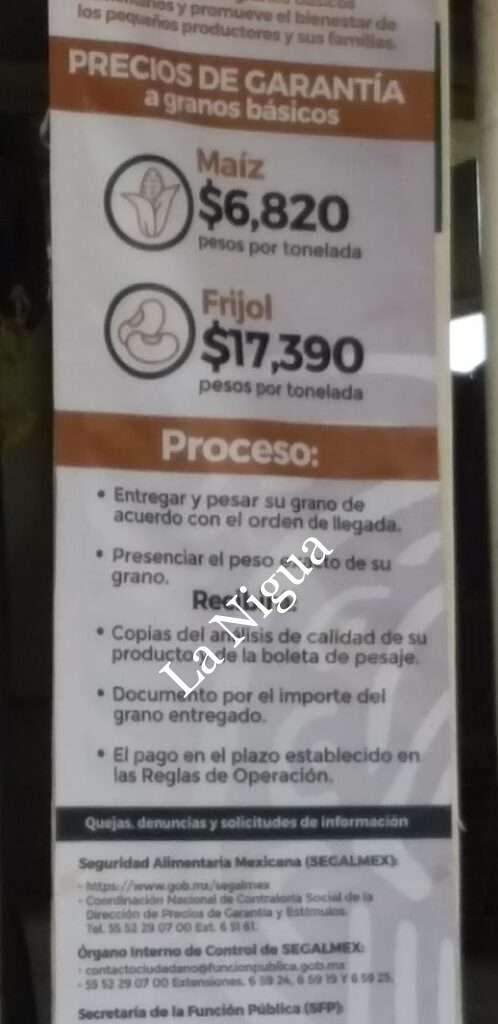 Crisis del maíz por falta de mercado en Paso del Macho.
