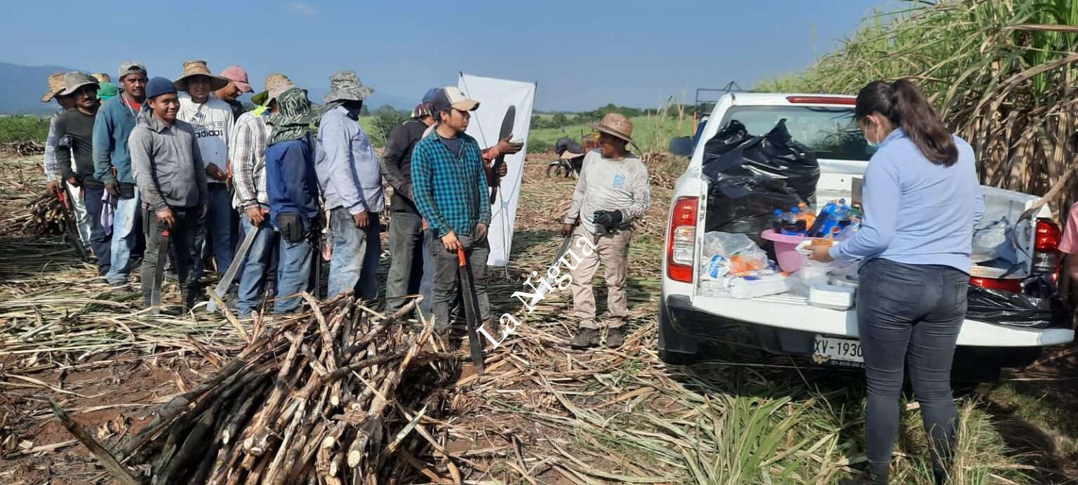 Ingenio el Potrero festeja Día de Reyes