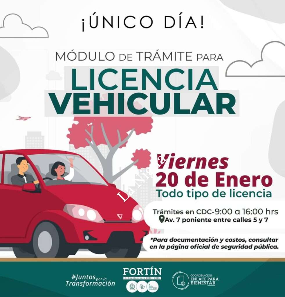 Licencia Vehicular